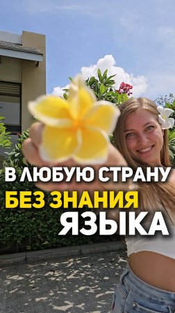 В любую страну без знания языка