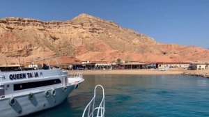 В чем интересы АНЕНЕРБЕ в Крыму  № 2668