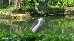 Отель Ayodya Resort Bali. Индонезия, Нуса Дуа, Бали