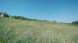 Развитие пчел на Пасеке Савина!