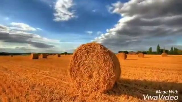 Природа Украины/ Природа України🇺🇦