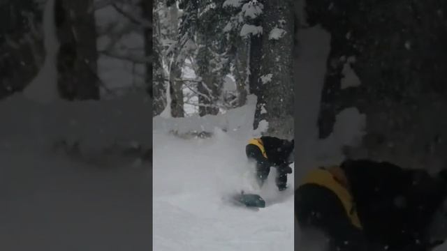 A handsome man flew out of the forest #extremesport #extreme #snowboarding #shorts #experiment