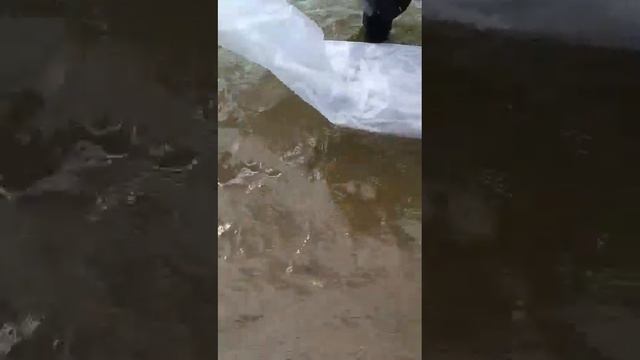 3 сентября 2023 г. смотреть онлайн