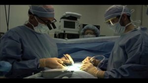 Fallopian Tube Surgery Video by Dr. Berger