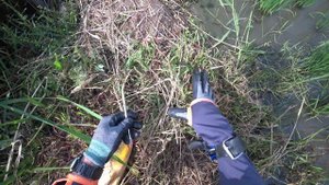 Охота с Рогаткой возле рисовых полей(АРХИВ) SLINGSHOT FISHING