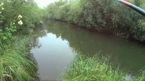 Пвд.Басандайка - Томь