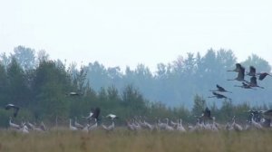 Вернись, солдат