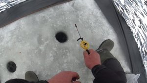 ДОН ! ловим БИРЮКА на разные снасти !!!