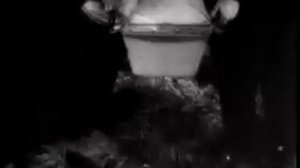 Opera IX - Bela Lugosi's Dead