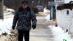 2021 01 27 Собака - друг или недруг