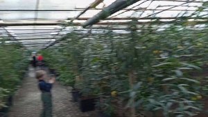 ЛИМОНАРИЙ. ЭКСКУРСИЯ.