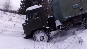 Шишига