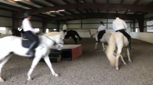 Horses dancing to arias from the opera Carmen