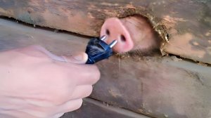 НЕОБЫЧНАЯ ПОДБОРКА МЕМОВ V242