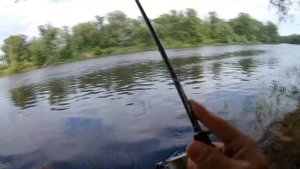 Ловля щуки весной. Микроджиг на Северском Донце