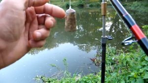 Ртищев пруд, от Пал Палыча   6 07 20