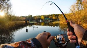 рыбалка с начёвкой поймали щуку
