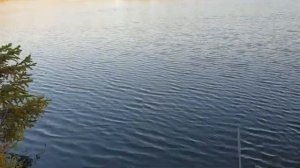 Озеро Бабошкино рыбалка сентябрь 2023 Балашиха