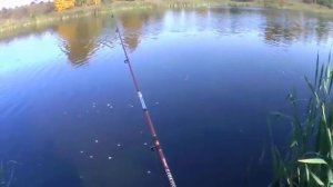 Рыбалка на щуку в октябре