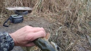 С лёгким джигом за щукой.ноябрь.crazy fish perfect jig 0.6-7гр.