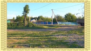 Визитка Камышев