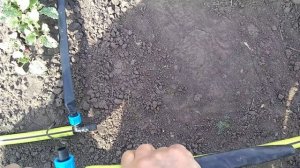 Капельный полив - устройство.