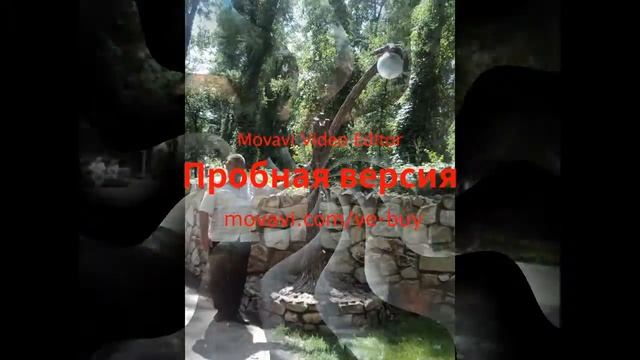 VLOG\еду в лого парк\видео от 24.06.2017