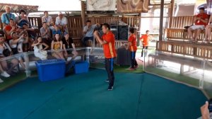 Таиланд. Паттайя. Змеиная ферма.