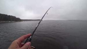 Спиннинг Ronin Rush Sonic. Предновогодний судак.