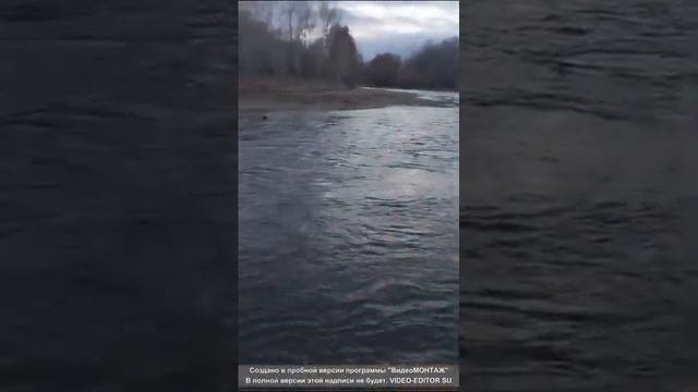 Рыбалка река Ульбинка