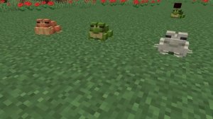 ФАКТЫ О ЛЯГУШКАХ в МАЙНКРАФТЕ