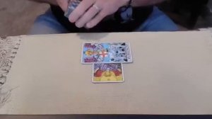 Don Jr - Hawking votes $5 a pop?  A tarot reading