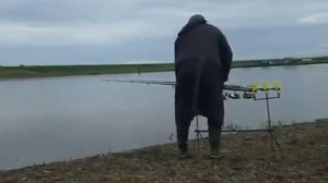 Ловля сазана, как ловить сазана, прикормка для сазана