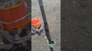 Daiwa Tournament Surf 2019