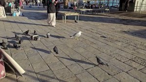 ВЕНЕЦИЯ . Италия – Прогулка по этому прекрасному городу – Пешеходная экскурсия. Влог 4K