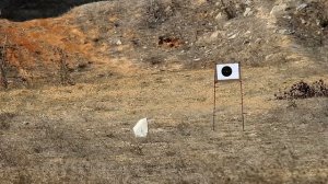 FX BOSS 7.62 mm -5-  AND PELLETS SOUNDS BY FİLİNTALAR GROUP