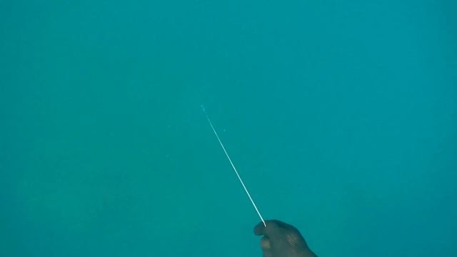 Где трофеи там я, и удача моя! (окунь 9кг 200гр) смотреть онлайн