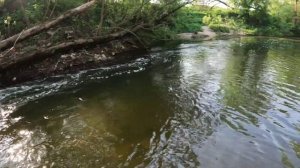 Мормышинг,Тараканинг рыбалка на микроречке