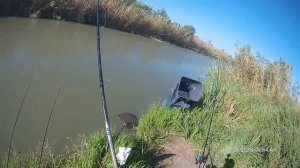Mikado Ultraviolet + Daiwa Catalina + поводок 0.16 = трофей.