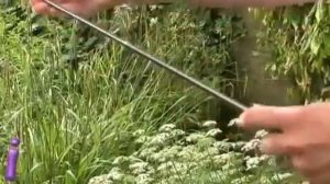 Карманная мини удочка ручка (удочка в виде ручки - ProFishional Fishing Pen)