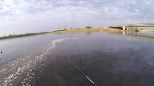 Рыбалка в Астане! Бассекевич стал активным! Рыбалка в Казахстане, в городе Астана возле Ак Мечети.