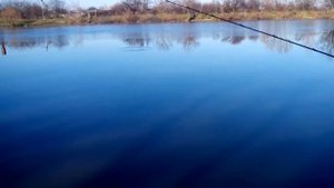 Абу ЛТ, Зодиас до 12, Мепс №1