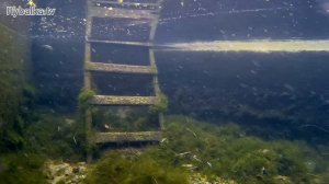 Воблер Kosadaka Mascot XS. Подводная съемка. Underwater