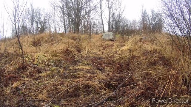 МЕТАЛЛОКОП,покопали,покатались на уазе по грязи.