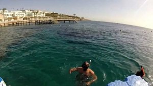 Поездка в Египет Шарм Эль Шейх