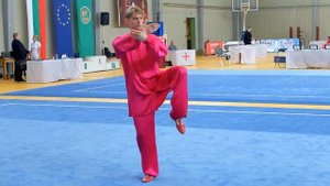 Ян ши тайцзицюань. Сергей Суховей. Yang shi Taijiquan - Sergey Sukhovey