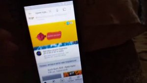 Куми Куми Обзор