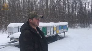 Зимняя ревизия на пасеке Андрея Бодяна. Молдова / FABRO