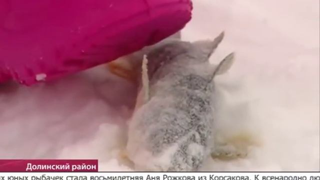 Сахалинский лед 2018 смотреть онлайн