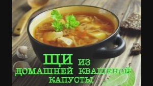 Щи из домашней квашеной капусты (Рецепт)